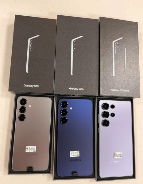 Samsung Galaxy S25&#039;s First Look Leaked on Reddit 