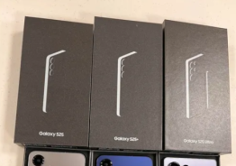 Samsung Galaxy S25's First Look Leaked on Reddit
